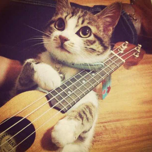 薛凯琪被黑人操大了吗
